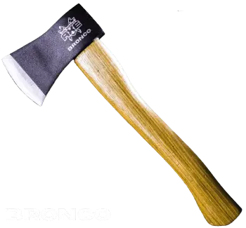 bronco-1