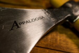 Appaloosa